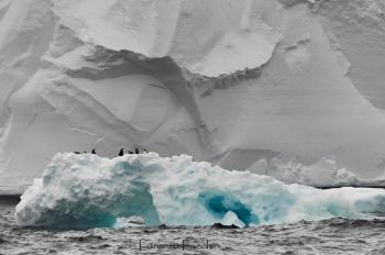 Mai nessuna nave era arrivata così a sud, nell&#039;equipaggio anche uno spezzino