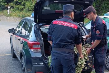 Raccoglie 40kg di “Monete del Papa” nel Parco delle Cinque Terre, denunciato