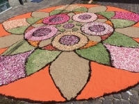 Festa della Musica, infiorata e street food a Santo Stefano