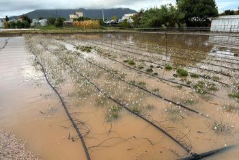 Il maltempo dovrebbe concedere una pausa, ma tra domenica e lunedì è attesa una nuova perturbazione