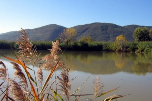 Rifiuti abbandonati lungo il fiume, collaborazione Parco-Comuni per combattere gli incivili