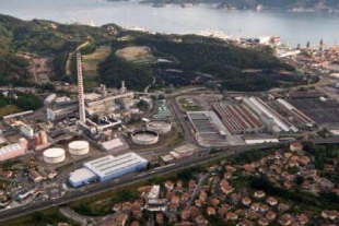 &quot;Un appello al Governo perché dica No alla prosecuzione della Centrale Enel della Spezia&quot;