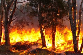 Incendi boschivi: Regione Liguria, dal 24 giugno scatta lo stato di grave pericolosità