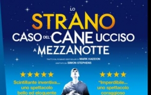 Lo Strano Caso del Cane ucciso a Mezzanotte al Nuovo