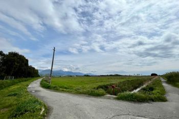 Dal latte nasce l&#039;olio, la rinascita della Tenuta di Marinella con 100 ettari d&#039;oliveto