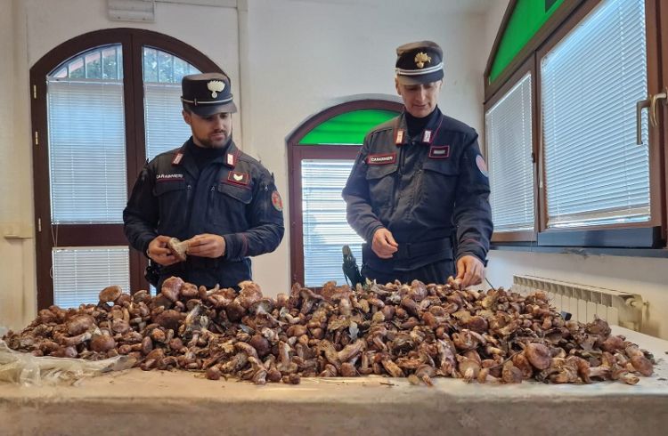 I Carabinieri Forestali del Parco delle Cinque Terre sequestrano 30 Kg di funghi