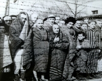 &quot;Shoah e disabilità&quot;, una lezione per non dimenticare