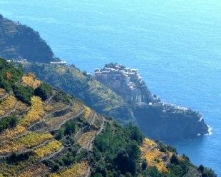 Certificazione EMAS sui servizi eco-sistemici per il Parco Nazionale delle Cinque Terre