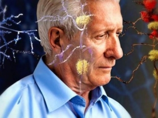25esima Giornata mondiale dell’Alzheimer, aderisce anche La Spezia