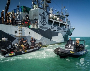 A Sea Shepherd un riconoscimento speciale dal Premio Montale Fuori di casa