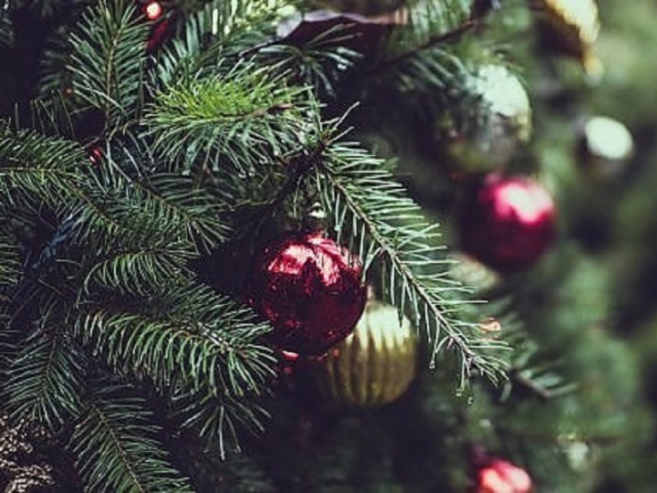 Porta il tuo albero natalizio in Piazza Europa