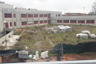 &quot;Così è ridotta l&#039;area di fianco all&#039;ospedale San Bartolomeo, Cavagnaro faccia qualcosa&quot;