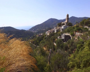 IMU agricola, CIA: &quot;Riconosciute nostre istanze, ora si lavori a revisione&quot;