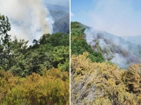 Vasto incendio a Casola in Lunigiana, distrutti molti ettari di bosco