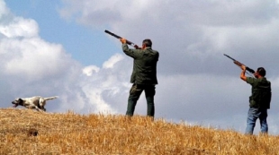 Caccia, gli ambientalisti chiedono il rispetto delle sentenze sugli abbattimenti selettivi