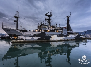 Sea Shepherd torna alla Spezia con la Sam Simon (foto)