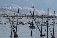 Lo Stabulatore di Santa Teresa apre le porte per le &quot;Giornate del Fai&quot;