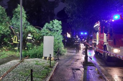 La Spezia, crollano due alberi su un&#039;auto in sosta