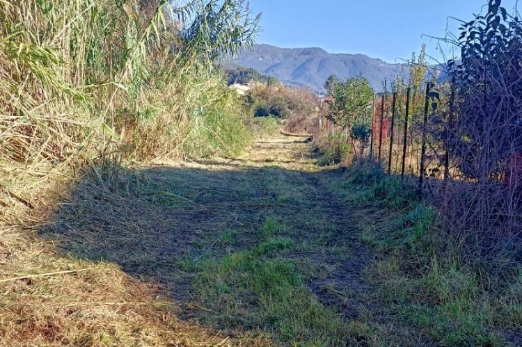 Sarzana, da oggi viale Alfieri sarà aperto temporaneamente al transito veicolare