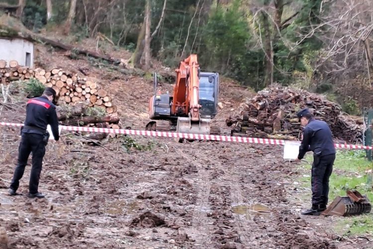 Il proprietario di un bosco esegue scavi e tagli senza autorizzazione, finisce tutto sotto sequestro