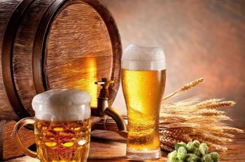 FdI propone norme per la valorizzazione della birra artigianale ligure