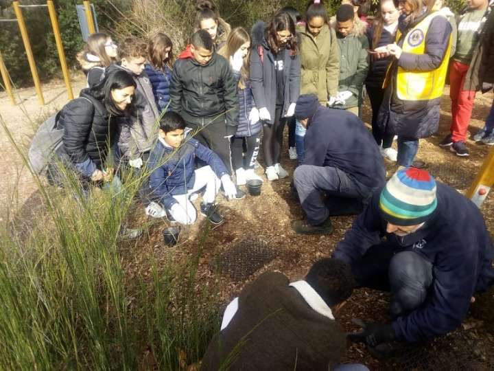 80 nuove piante sul Parodi per concludere il Progetto Ilex