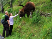 Mangialonga Fivizzano, passeggiata enogastronomica di 12km