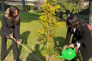 La Consulta Giovani di Sarzana pianta un albero per l&#039;8 marzo
