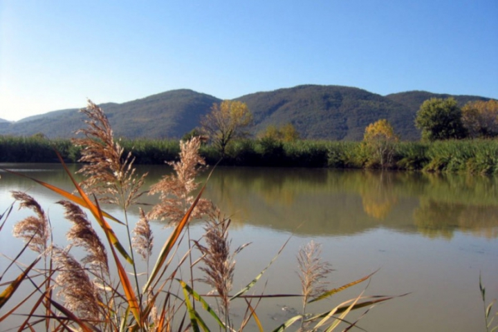 Piano integrato del Parco di Montemarcello, Associazioni ambientaliste a confronto con l&#039;Ente
