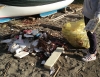 Monterosso, ripulita la spiaggia del paese vecchio