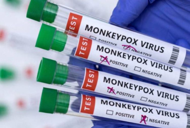 Vaiolo delle scimmie, dalla prossima settimana saranno vaccinate in Liguria le persone a rischio