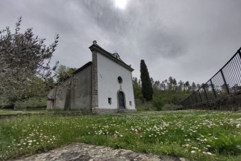 Alla scoperta della vita dei campi: una passeggiata per il Santuario dell&#039;Olivo