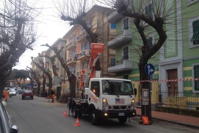 Levanto stanzia 20mila euro per la manutenzione del patrimonio arboreo