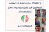 Unione dei Giovani Dottori Commercialisti ed Esperti Contabili