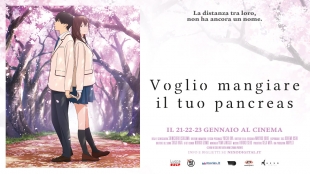 Anime al Nuovo &quot;Voglio Mangiare il Tuo Pancreas&quot;