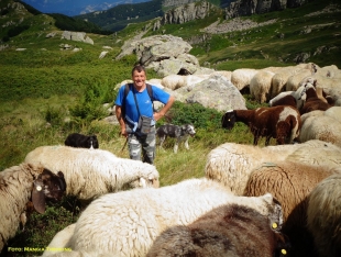 Alla ricerca degli ultimi pastori