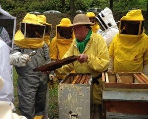 Corso base di apicoltura, tra Sarzana e Calice