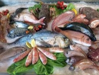 Pesca, la Regione stanzia 354mila euro di fondi europei