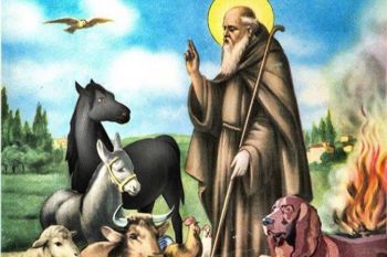 Oggi si ricorda Sant’Antonio Abate, protettore degli animali domestici