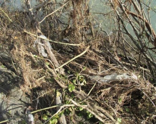 Cumuli di legna post alluvione, si può pruciare