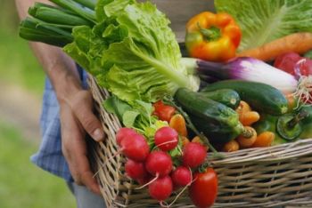 A Sarzana la prima edizione di “Dal Campo alla Tavola”