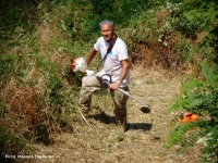 Sentieri e rovi, l&#039;appello di Mangia Trekking per un abbigliamento adeguato