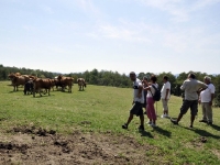 Sentieri, prodotti tipici e antichi poderi: ai Casoni di Suvero torna &quot;Stalle aperte&quot;