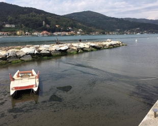 Battistini (Libera-Mente Liguria): &quot;Alla foce del Fabbricotti situazione pericolosa&quot; (foto)