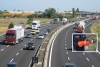 Recuperata in autostrada una poiana ferita