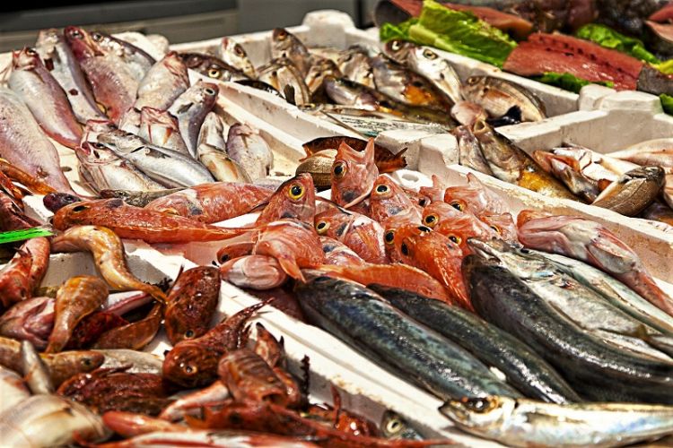 Pesca e caro gasolio, Regione Liguria dà priorità ai ristori