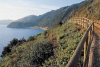 La Corte Costituzionale boccia la legge sui parchi della Regione Liguria