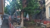 Scalinata Cernaia, Legambiente lancia un appello per salvare l&#039;albero