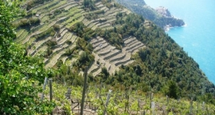 Parco delle Cinque Terre, variazione al bilancio per la riqualificazione del territorio