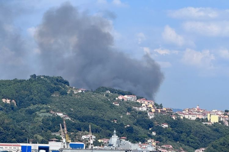 Un incendio boschivo nei pressi della collina di Pitelli